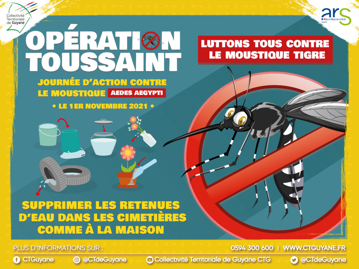 Comment combattre le moustique tigre ? Devenez membres des brigades anti- moustiques avec la mairie Pau - France Bleu